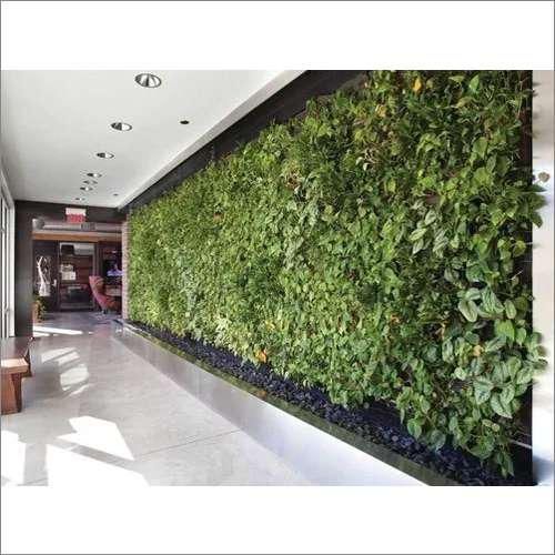 Ghar Sansar - Natural Vertical Grass 10